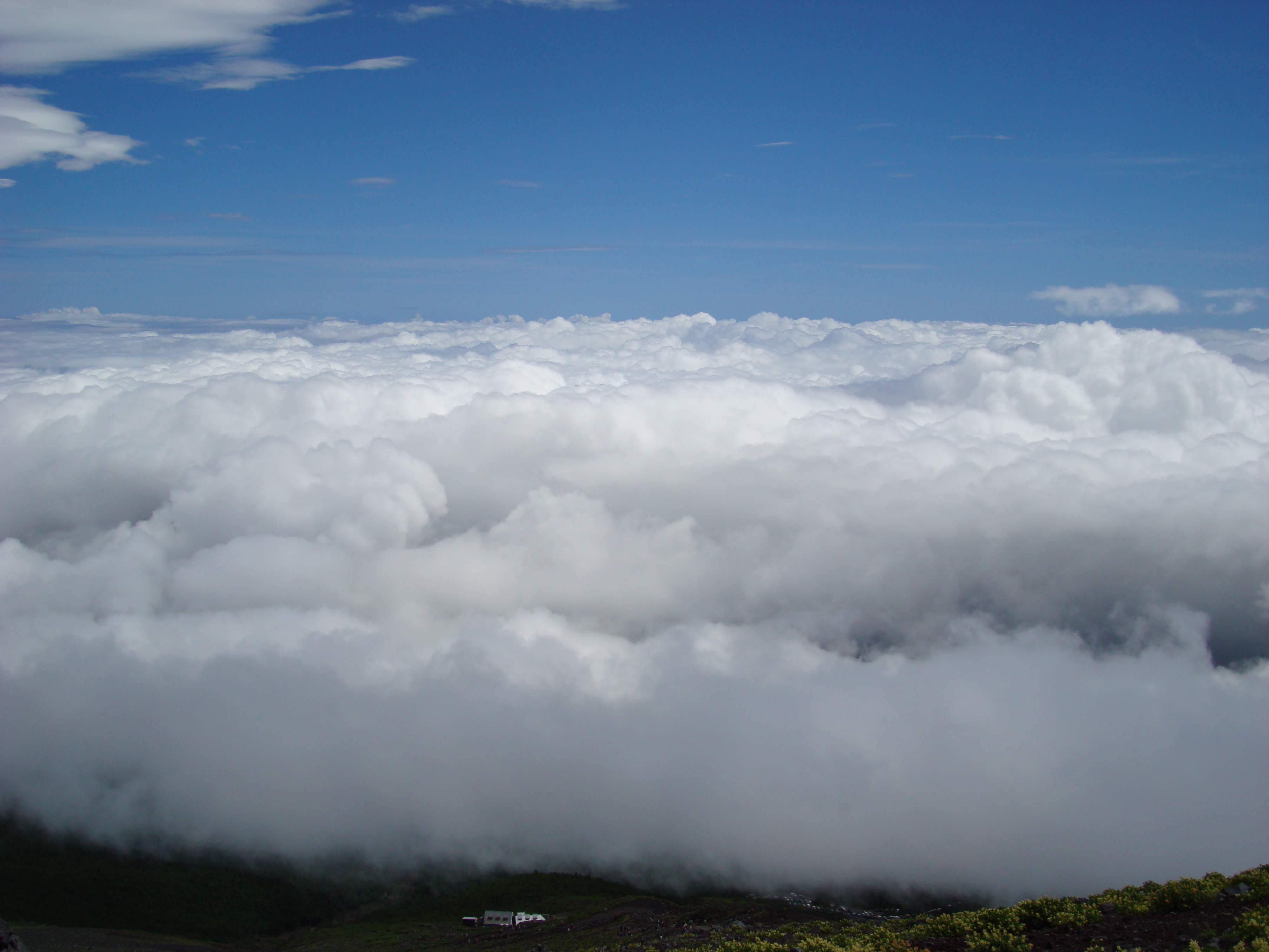 DSC00709.JPG(3120 Kbyte)