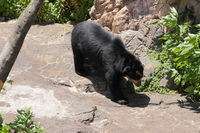 IMG_1655a.JPG