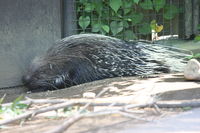 IMG_1660.JPG