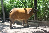 IMG_1664a.JPG