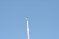 IMG_1786.JPG
