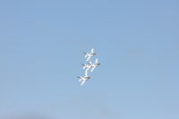 IMG_1823.JPG