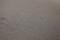 IMG_0659b.JPG