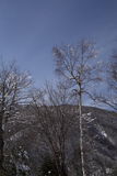 IMG_0775.JPG
