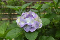 IMG_1315.JPG