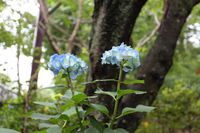 IMG_1348.JPG