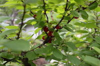 IMG_1406.JPG