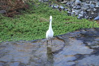 IMG_0025.JPG