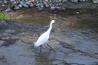 IMG_0026.JPG