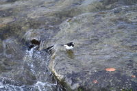 IMG_0035.JPG
