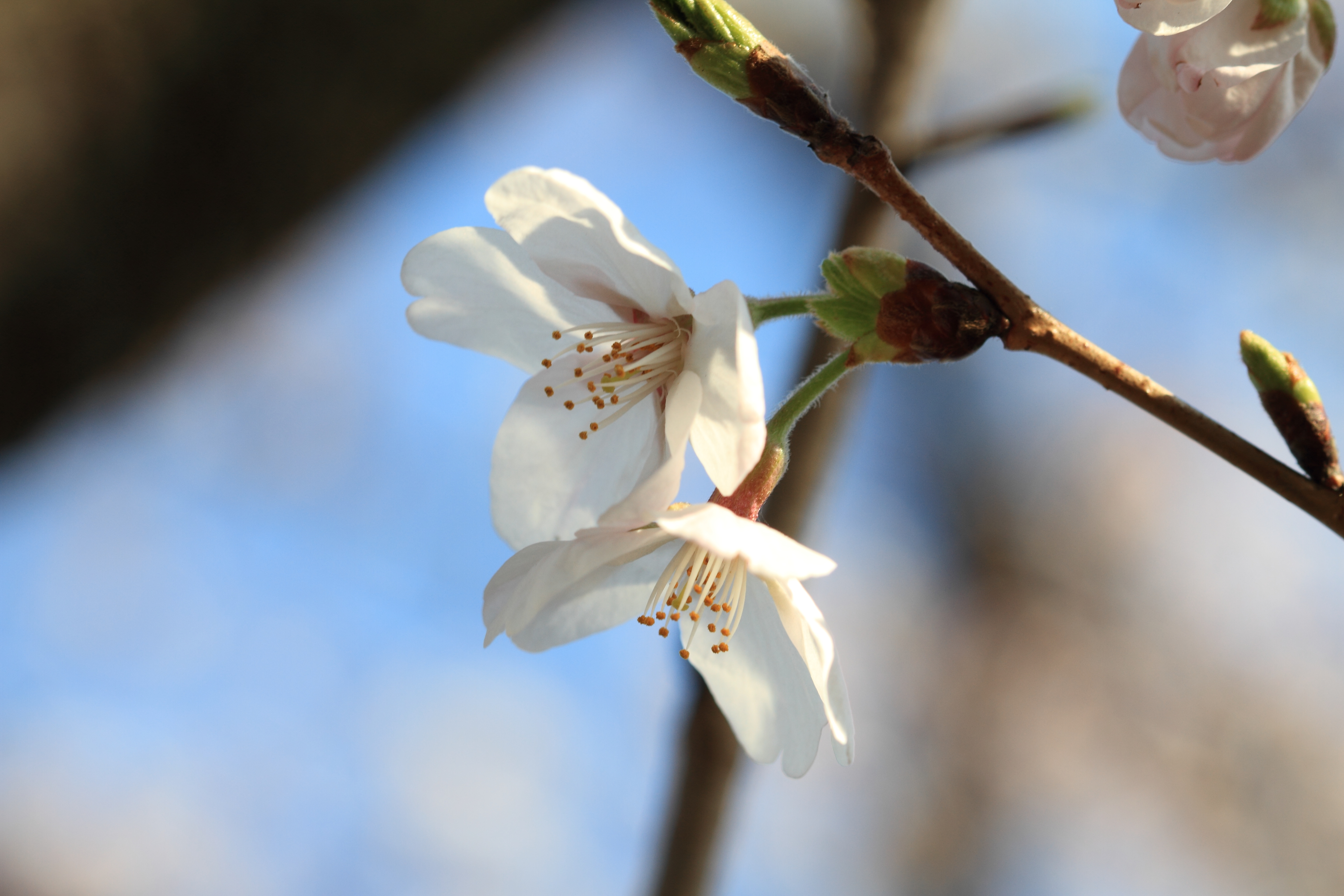 IMG_0085.JPG(3197 Kbyte)