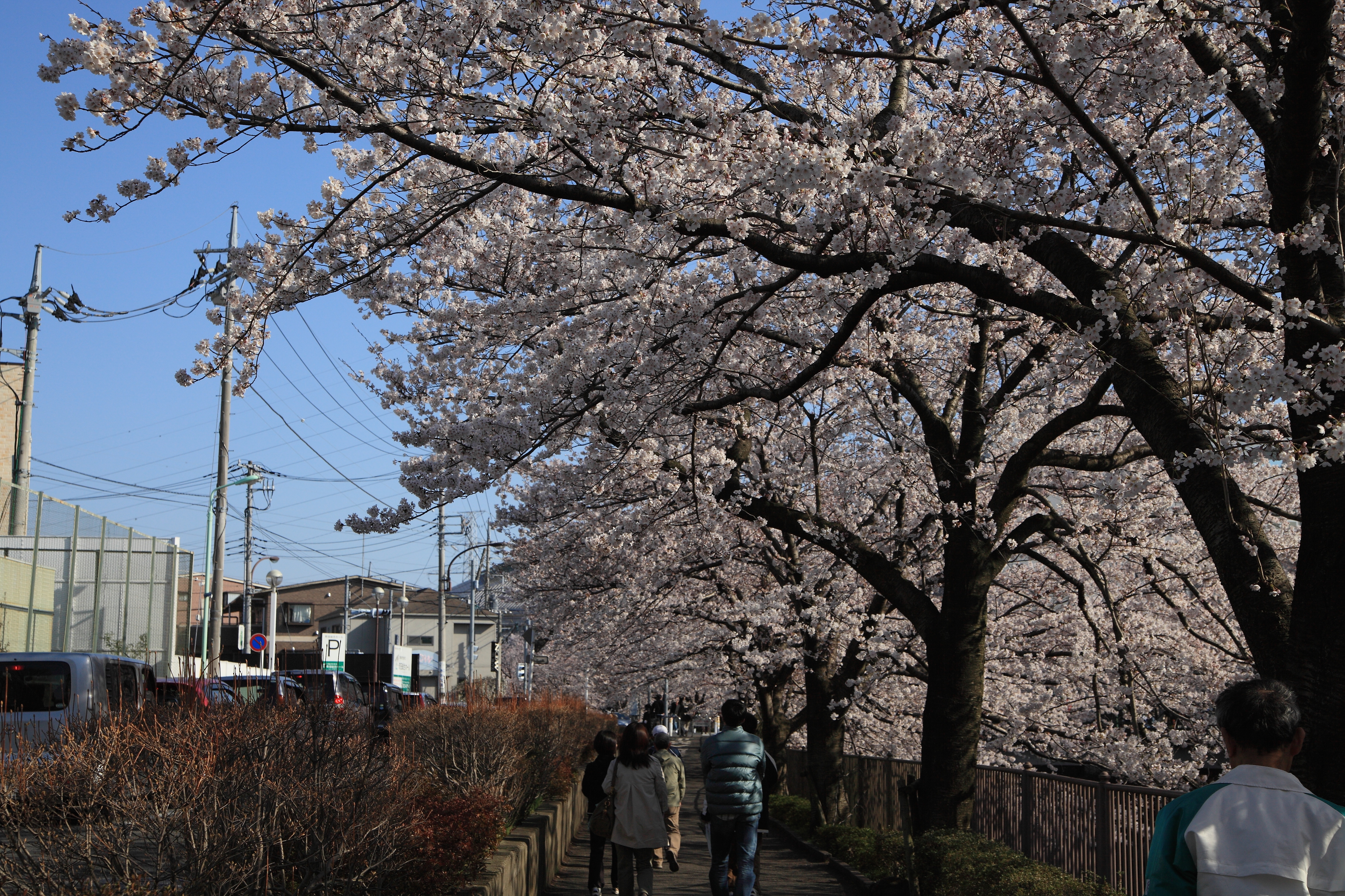IMG_2118.JPG(10947 Kbyte)