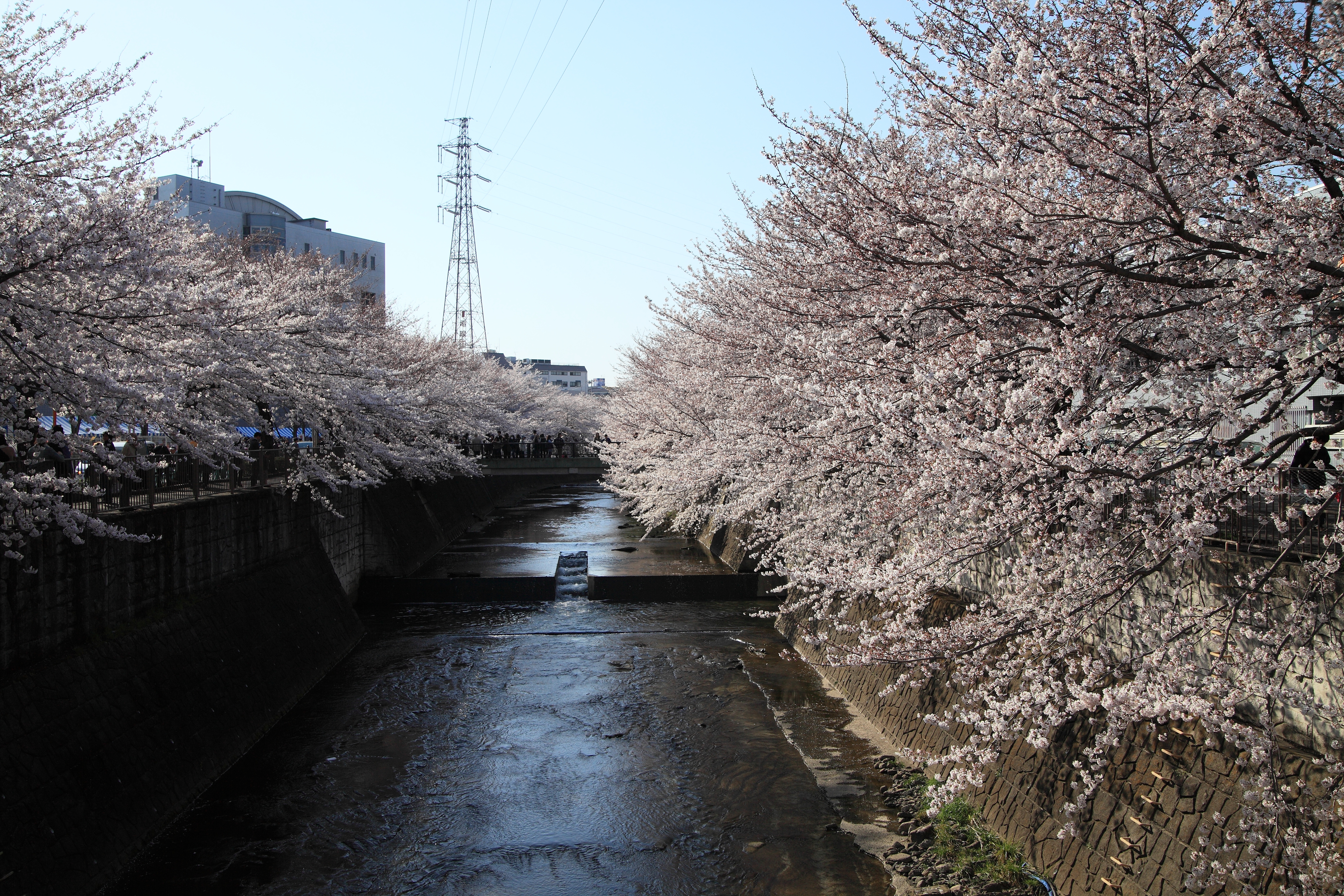 IMG_2128.JPG(12646 Kbyte)