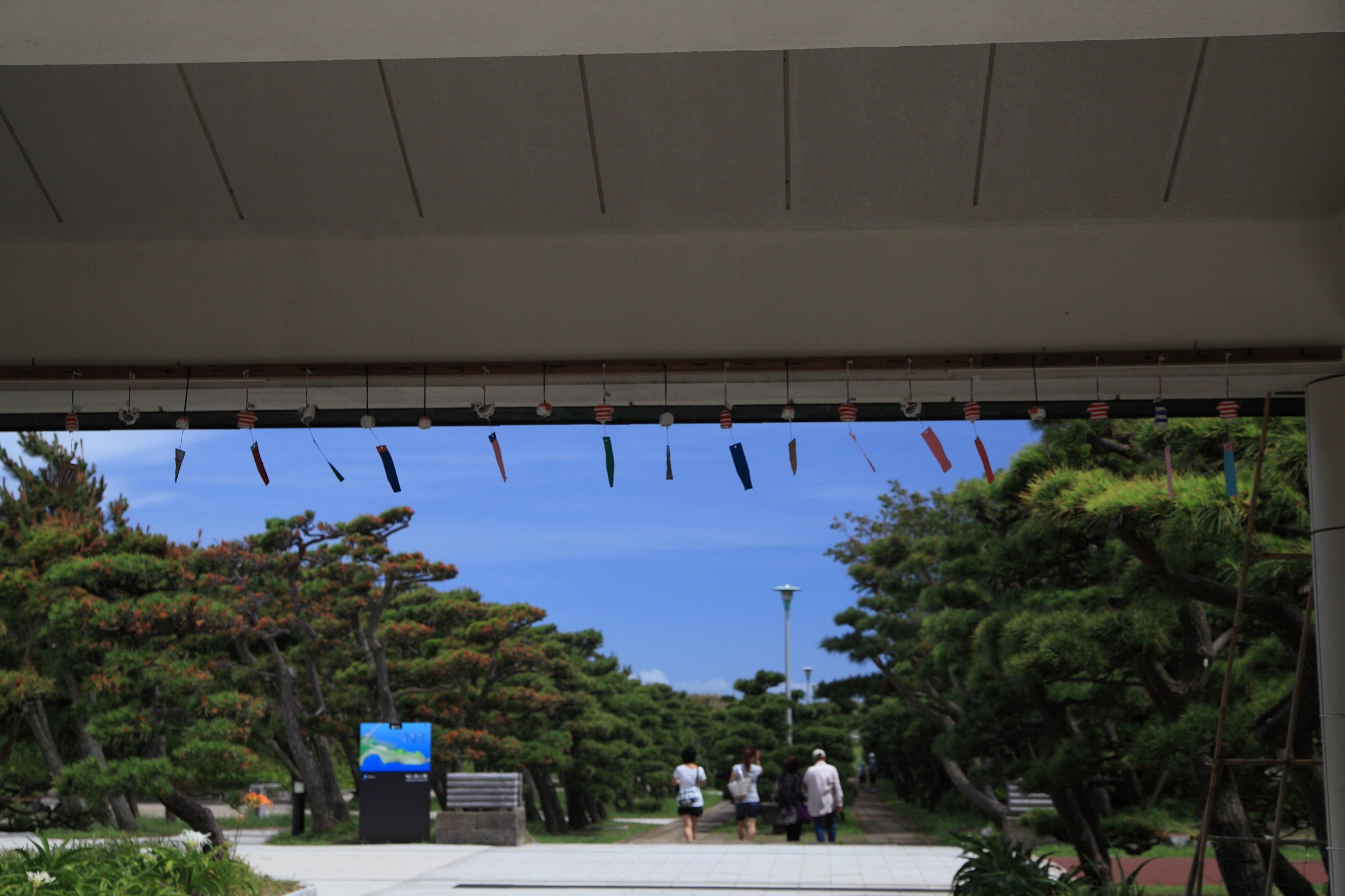 IMG_2261s.JPG(1149 Kbyte)