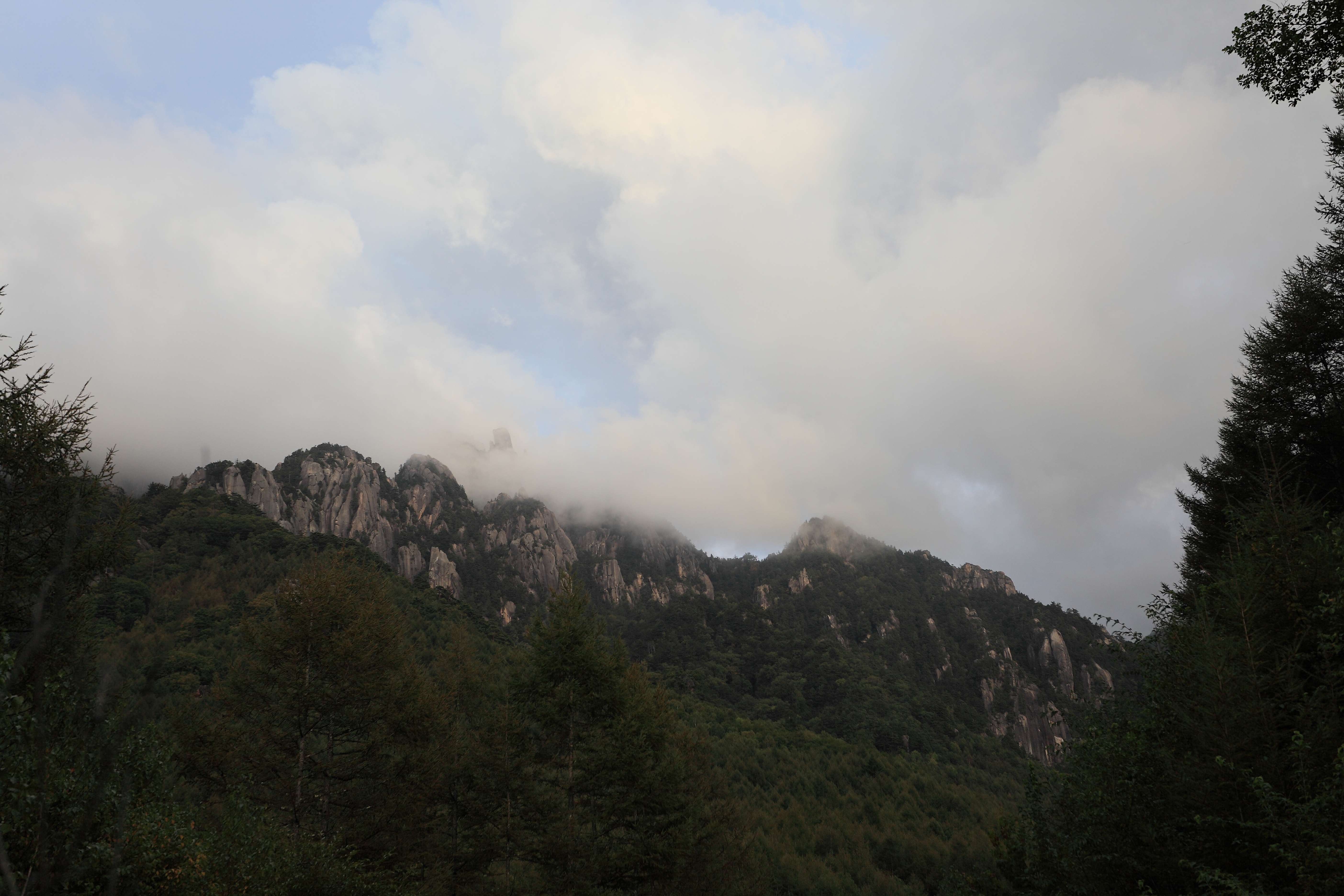 IMG_2430.JPG(4362 Kbyte)