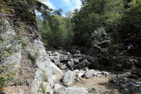 IMG_2389.JPG