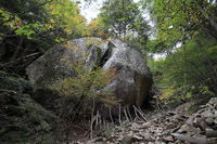 IMG_2390.JPG