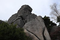 IMG_2396.JPG