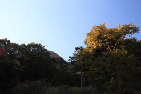 乙女峠口から見上げる登山道