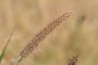 IMG_0225.JPG