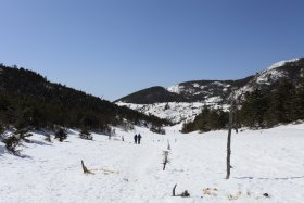 縞枯山の登山口へ向けて