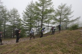 画像13
