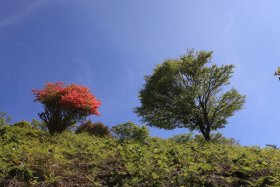 画像86