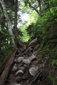 一ノ沢登山道 14