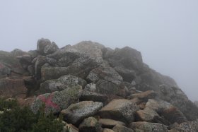 もうすぐ常念岳山頂