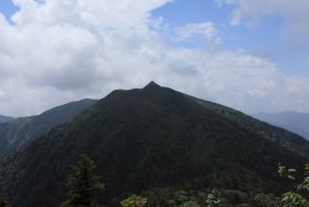 蝶槍