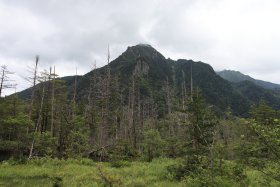 上高地の自然 1