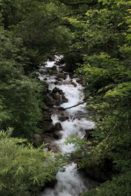 蒲田川