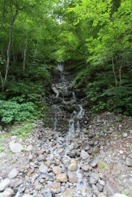 林道脇の小さな滝