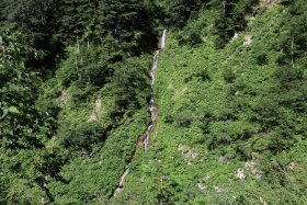 樹林帯へ流れ落ちる滝