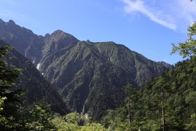 南沢から見上げる稜線 3