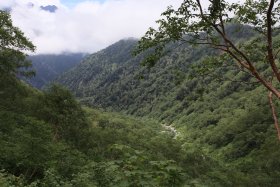沢を見下ろして
