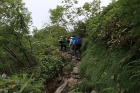 南沢の樹林帯歩き 3