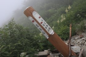 奥丸山分岐