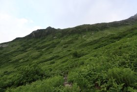 千丈乗越とコバイケイソウの群生地