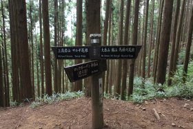 上高岩山分岐点