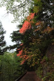 徳沢までの紅葉