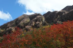 パノラマコース方面