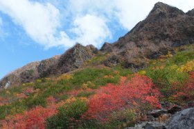涸沢の紅葉