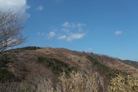 三ﾉ塔