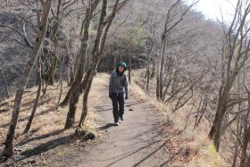 鍋割山荘へ向けて下山中