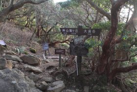 早雲山への分岐