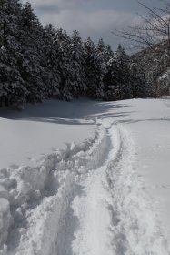 トレース