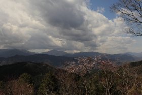 高尾山山頂