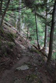 荒れた登山道