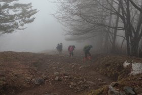 七ッ石山へ向けての急登